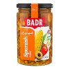 ترشی اسپانیایی بدر 630 گرم