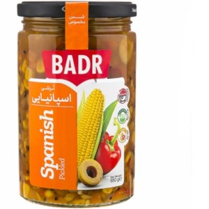 ترشی اسپانیایی بدر 630 گرم
