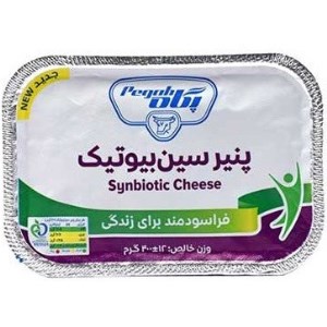 دکتر پنیر سین پگاه 400 گرم