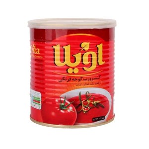رب گوجه فرنگی اویلا 800 گرم